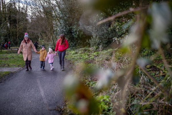 Forest park belfast