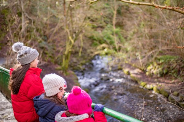 Colin Glen forest