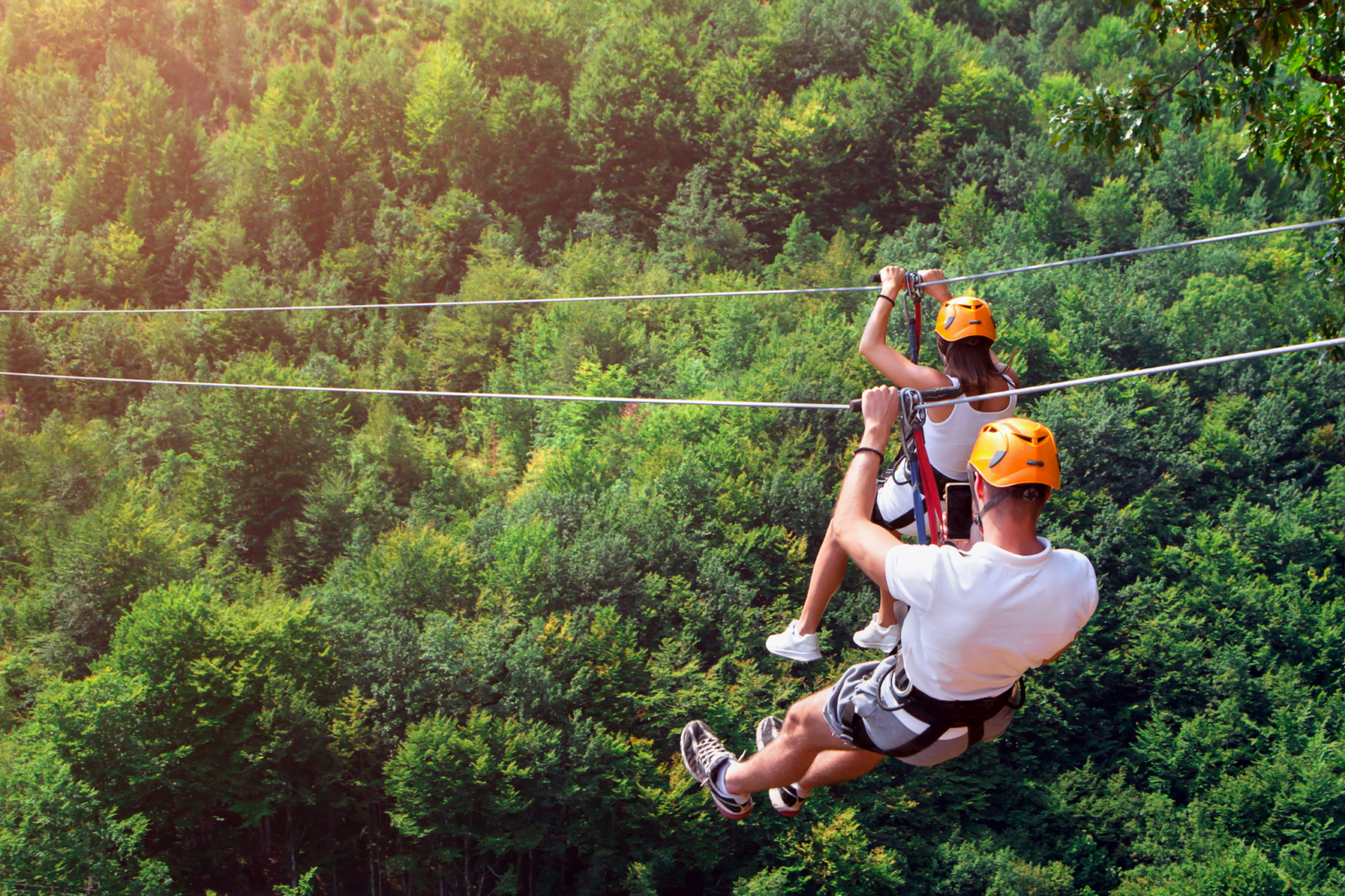 dual zipline Belfast