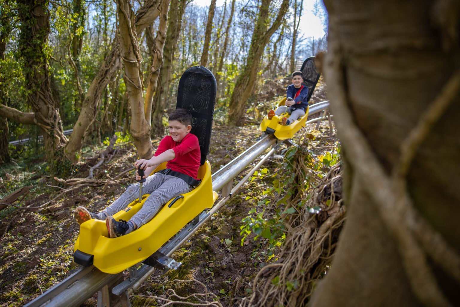 Fun for all at Ireland's Leading Adventure Park Colin Glen