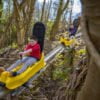 Multi Activity Pass - 2 Ziplines & Alpine Coaster - Image 3