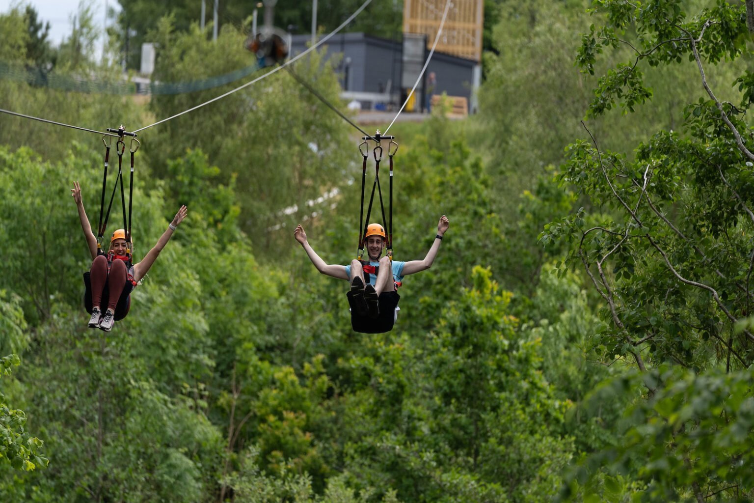 Forest Flyover Zipline Belfast